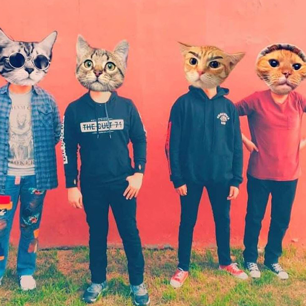 Miaw! estrena Verónica” con su nuevo video lyrics